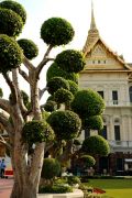 The Royal Palace
