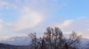 DSC00228