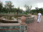 DSC01971