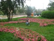 DSC01974