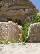 JD-Jerash