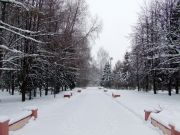 DSCF7768
