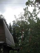 IMG 6221-1