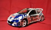 Peugeout 206 WRC 