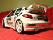 Peugeout 206 WRC  1