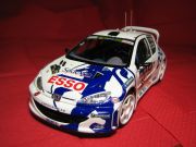 Peugeout 206 WRC  7