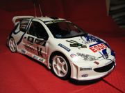 Peugeout 206 WRC  8