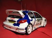 Peugeout 206 WRC  9