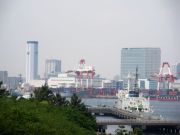 IMGP0394