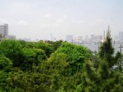 IMGP0396
