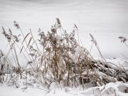 IMG 0012