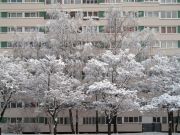IMG 0031