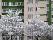 IMG 0032
