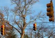 IMG 4994-