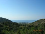 DSCN9174