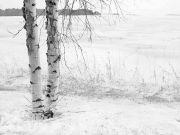 IMG 0262-