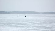 IMG 0291-