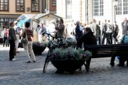 Old city