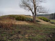 IMG 0415-