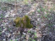 PICT0976