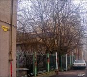 DSCF0026