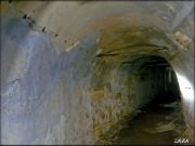 DSCF0143