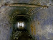 DSCF0145
