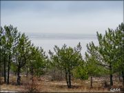 DSCF0173