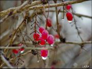 DSCF0182