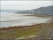 DSCF0196