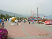 DSCN9342