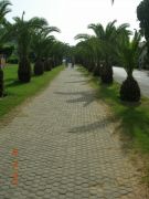 DSCN9345