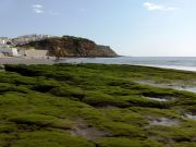 Imagem 019