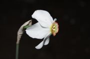 DSC00821