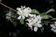 DSC00820