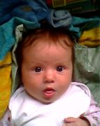 IMG0707A