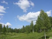 SN853834