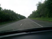 Image00007
