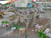 IMG 6479