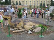 IMG 6483