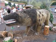 IMG 6498