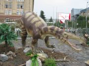 IMG 6512