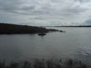   DSC00549