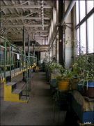 DSCF0140
