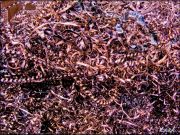 DSCF0157