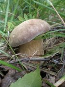 P7290326