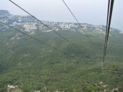 IMG 3929
