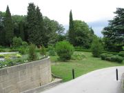 IMG 4010