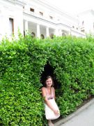 IMG 4012