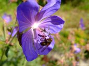 DSCF3735-